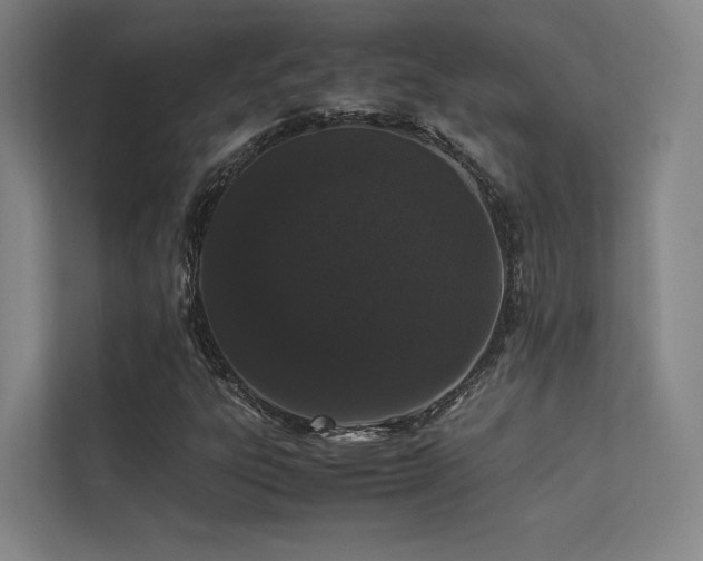 X0000113241303200909101400