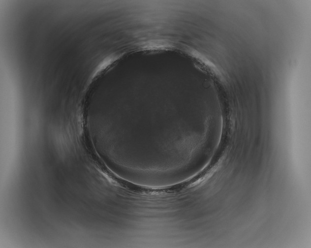 X0000113241306200909101400