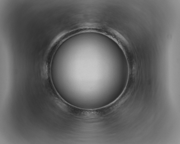 X0000113241310200909101400