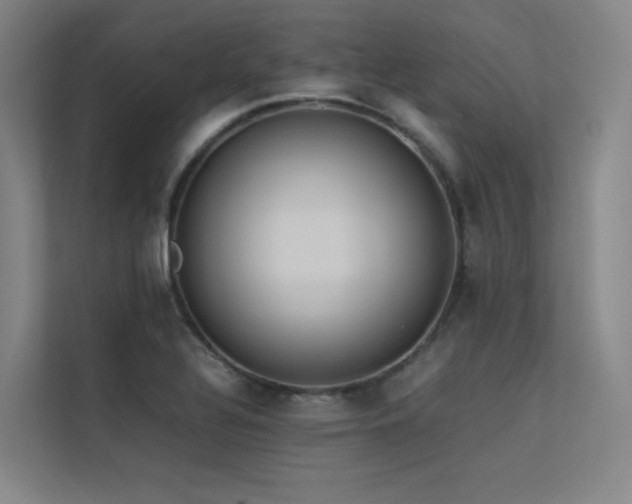 X0000113241320200909101400