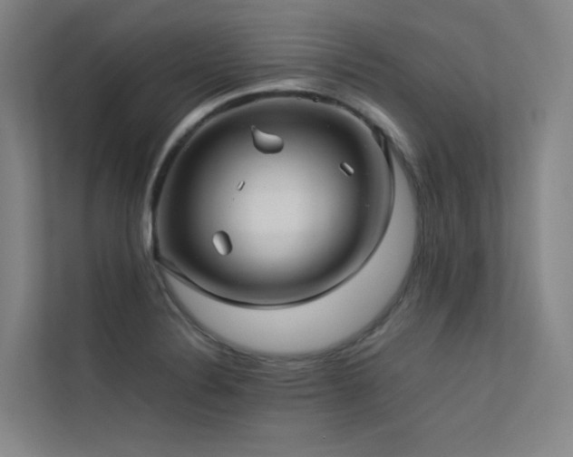 X0000113241324200909101400