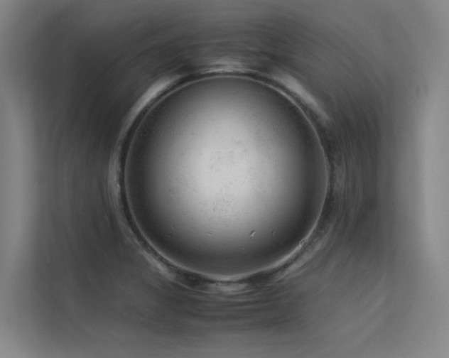 X0000113241325200909101400