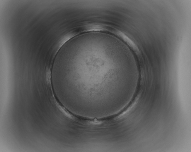 X0000113241329200909101400