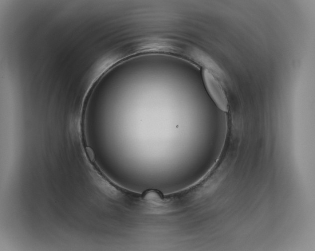 X0000113241330200909101400