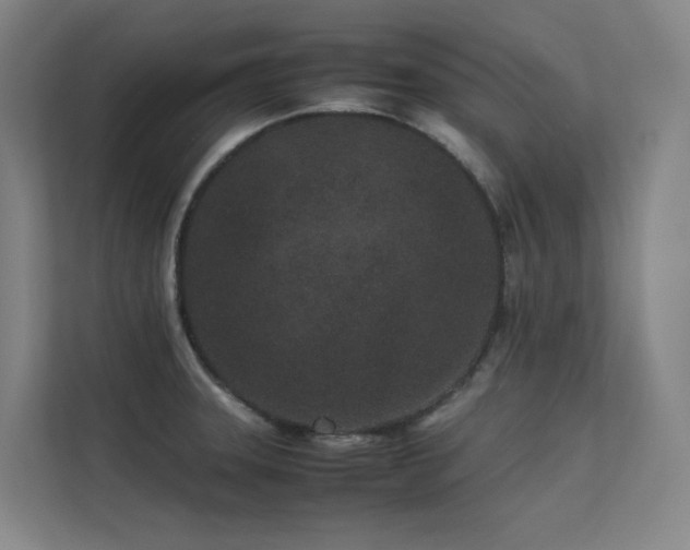 X0000113241331200909101400