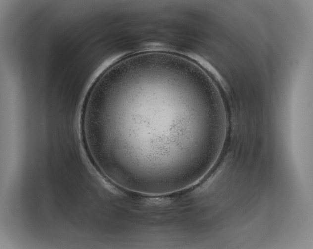 X0000113241333200909101400