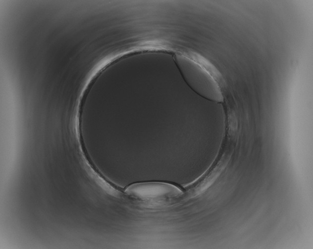 X0000113241334200909101400