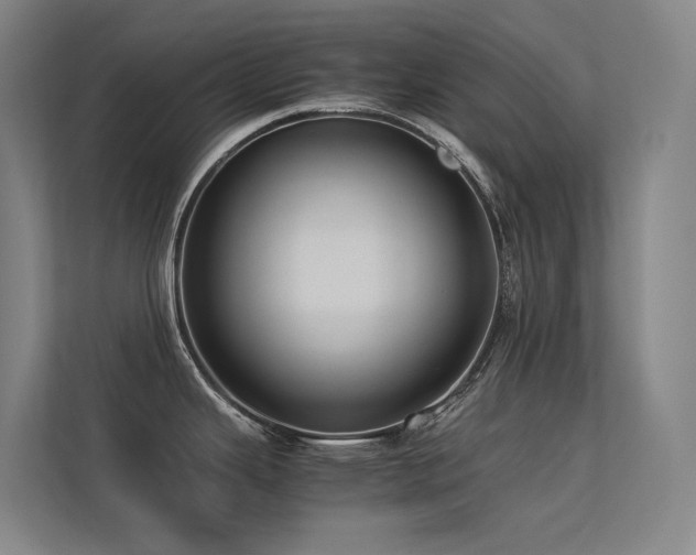 X0000113241343200909101400