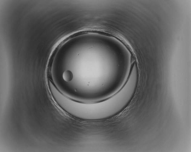 X0000113241344200909101400