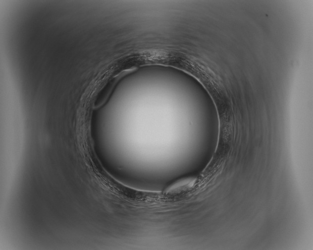 X0000113241345200909101400