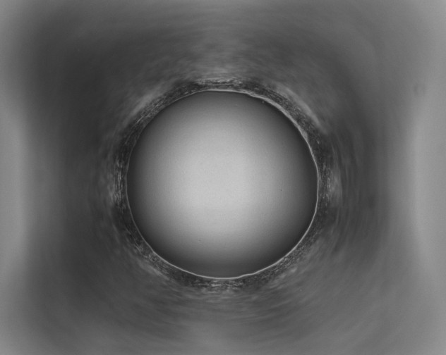 X0000113241350200909101400