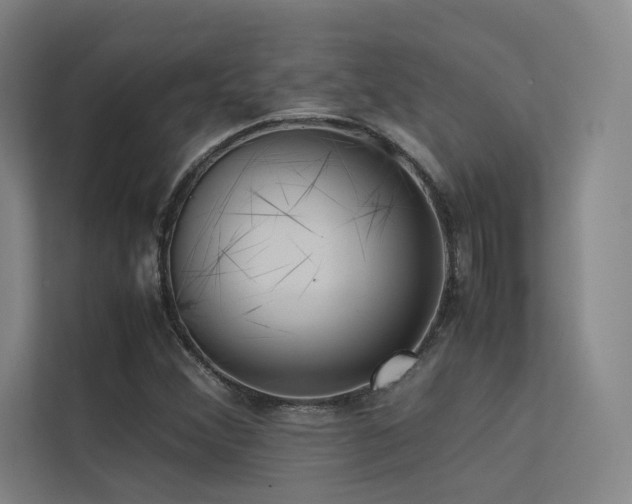 X0000113241356200909101400