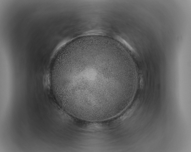 X0000113241358200909101400