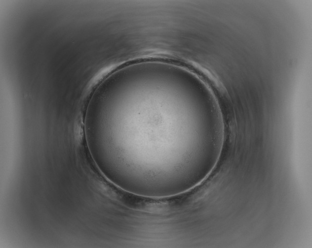 X0000113241363200909101359