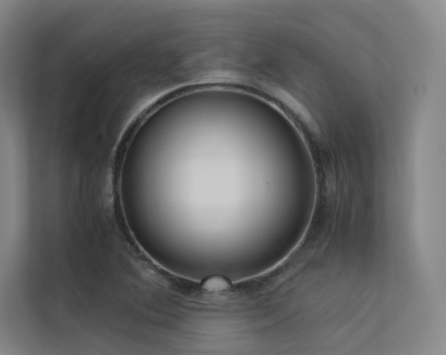 X0000113241364200909101359