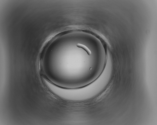 X0000113241365200909101359