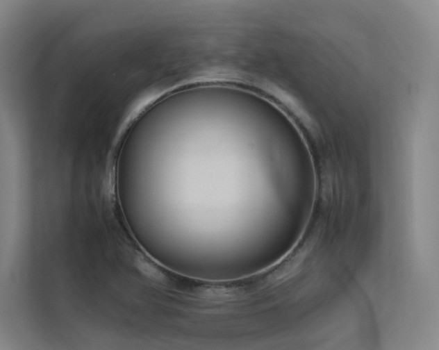 X0000113241366200909101359