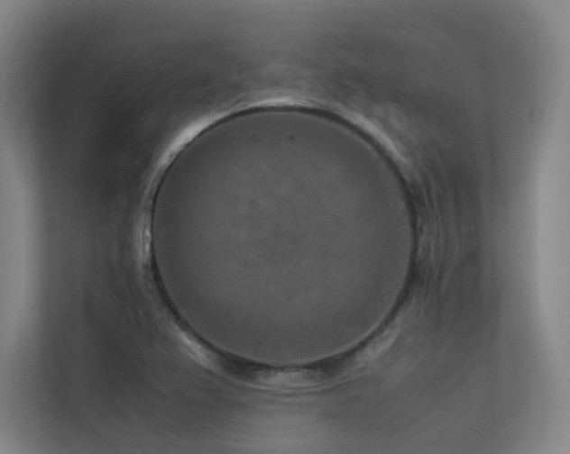 X0000113241367200909101359