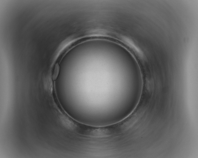 X0000113241368200909101359