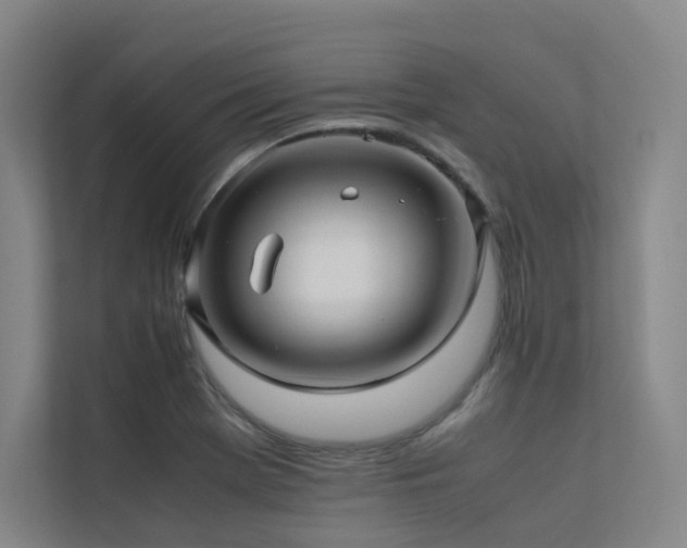 X0000113241369200909101359