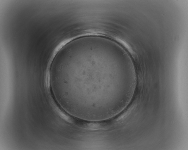 X0000113241371200909101359