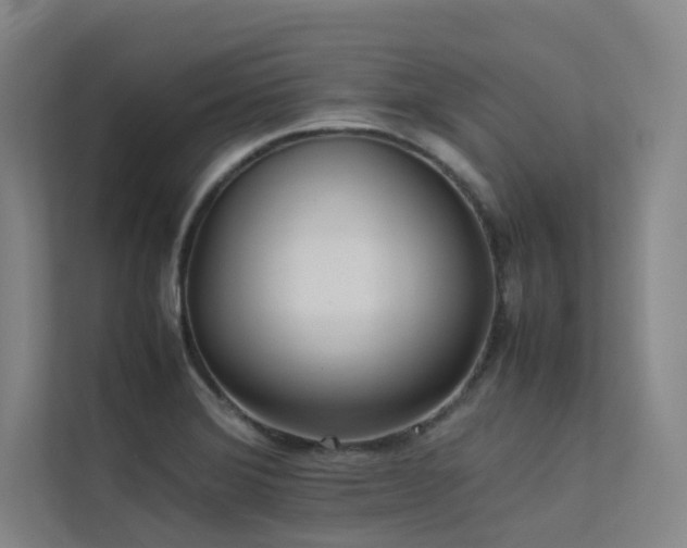 X0000113241372200909101359