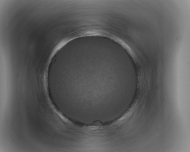 X0000113241373200909101359