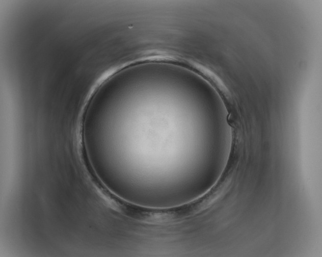 X0000113241375200909101359