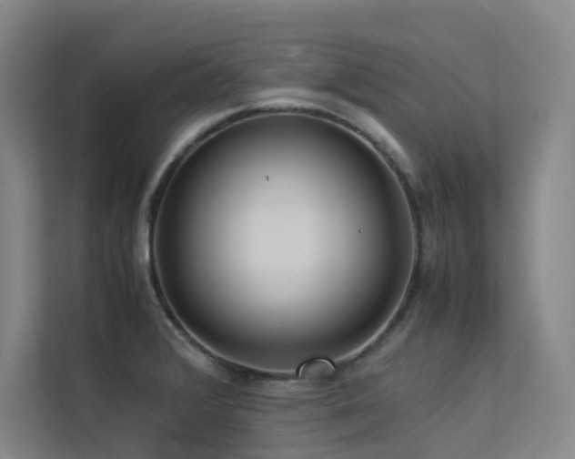 X0000113241376200909101359