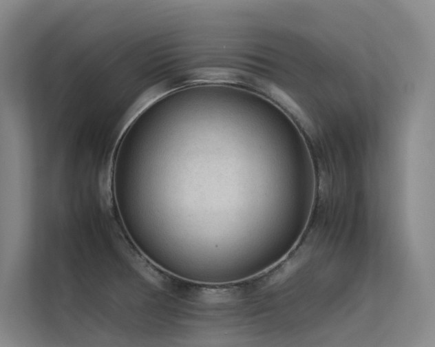 X0000113241378200909101359