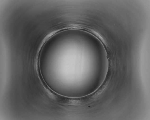 X0000113241379200909101359