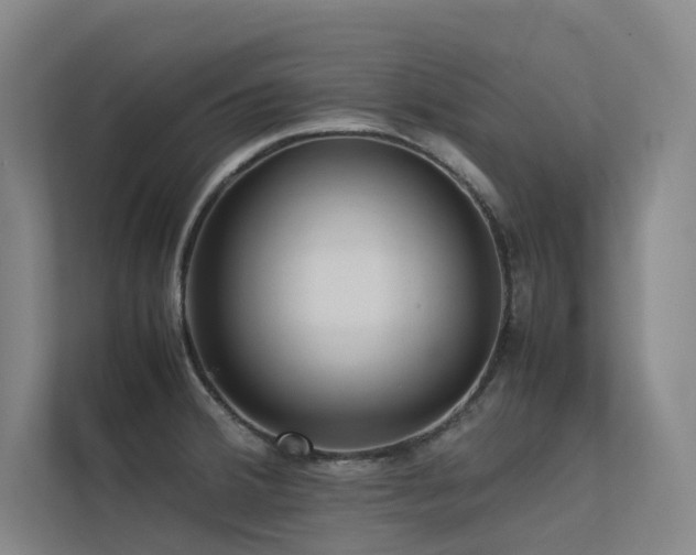 X0000113241380200909101359