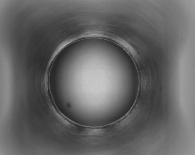 X0000113241382200909101359