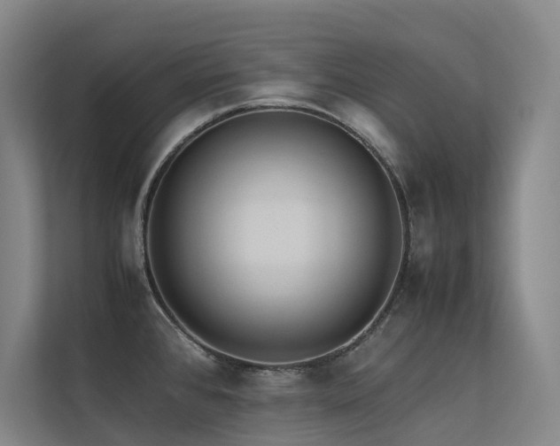 X0000113241384200909101359