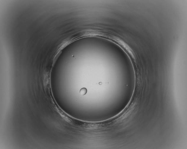 X0000113241385200909101359