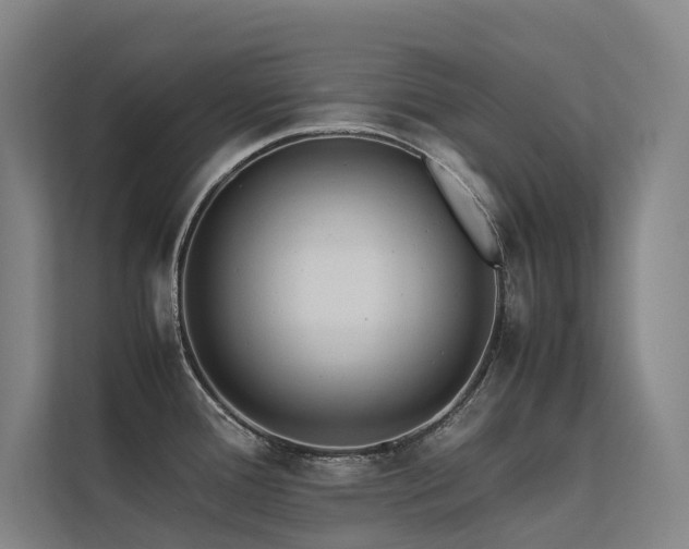 X0000113241388200909101359