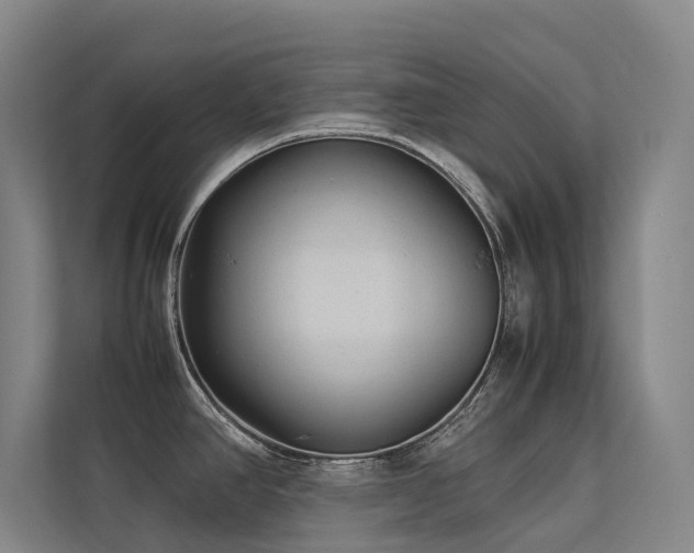 X0000113241390200909101359