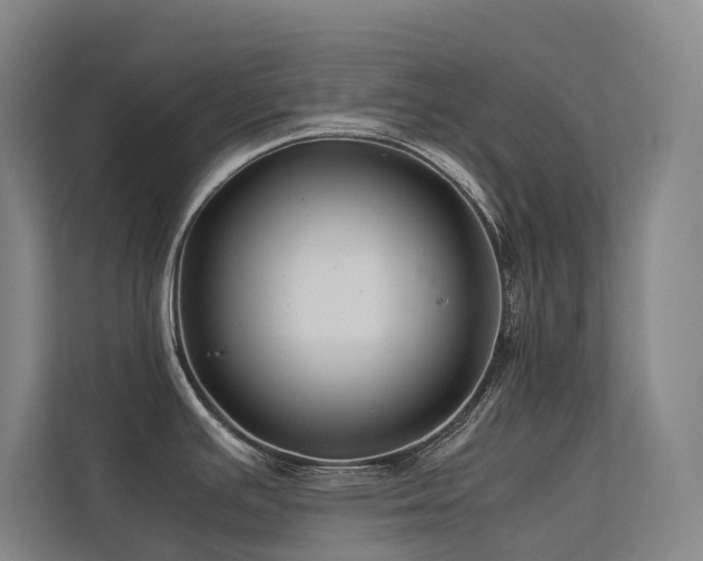 X0000113241391200909101359