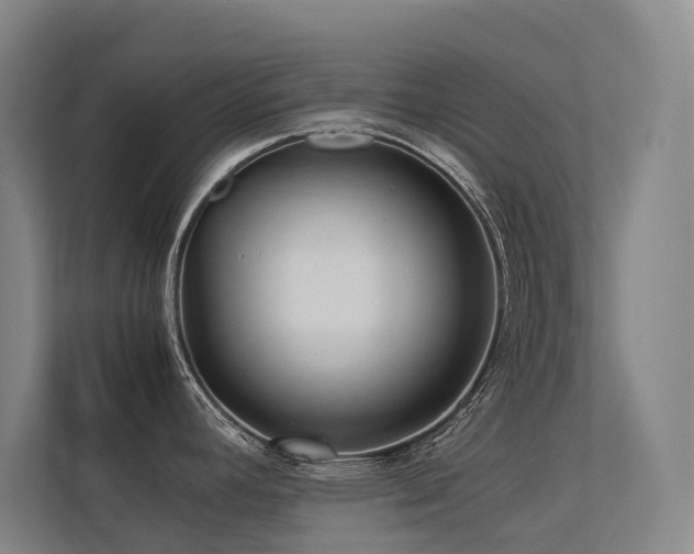 X0000113241392200909101359