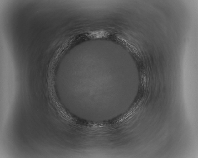 X0000113241393200909101358