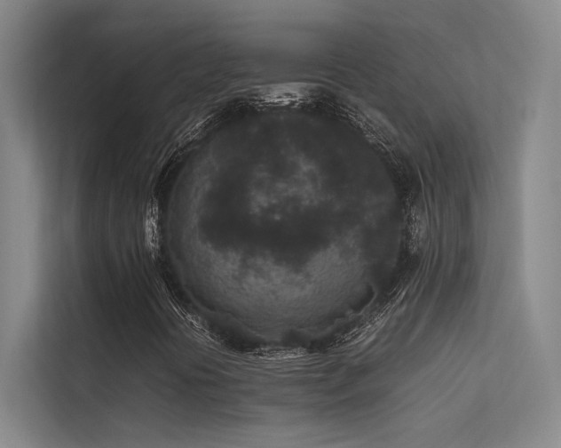 X0000113241394200909101358