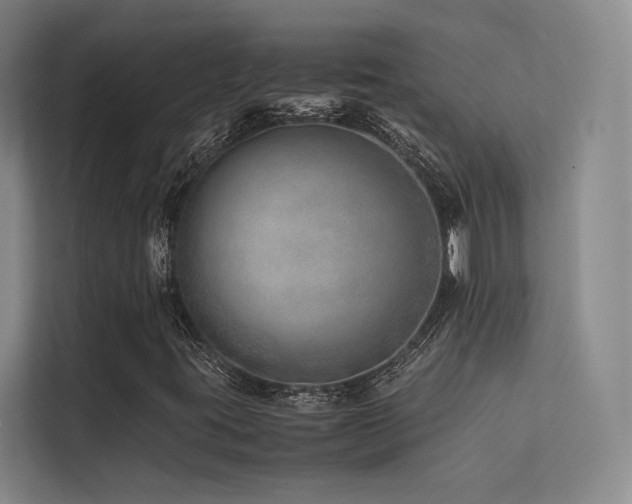 X0000113241395200909101359