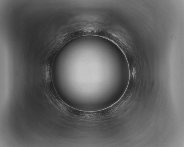 X0000113241396200909101359