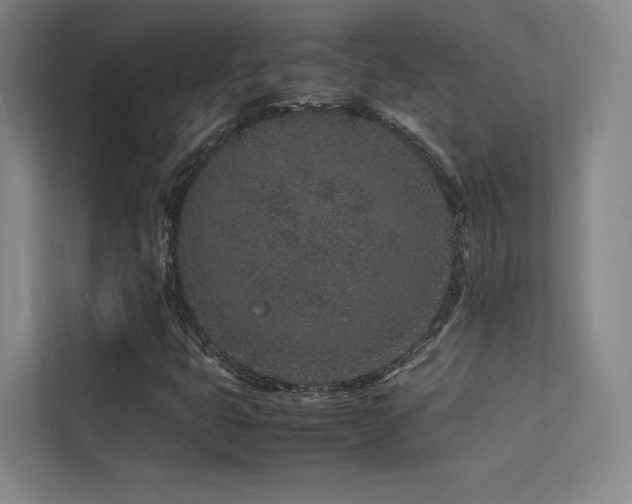 X0000113241399200909101359