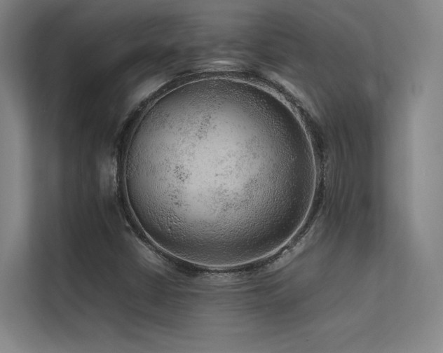 X0000113241402200909101359