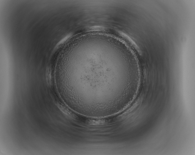 X0000113241403200909101359