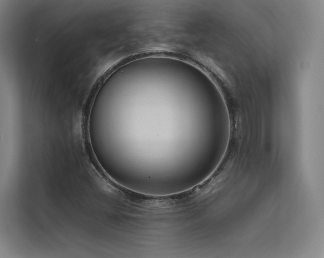 X0000113241404200909101359