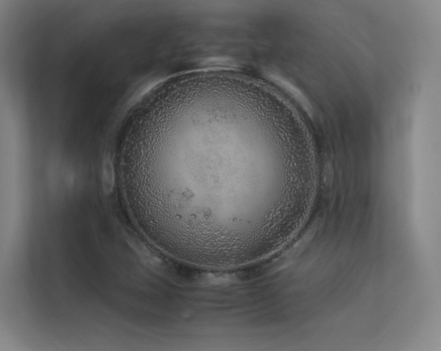 X0000113241407200909101359