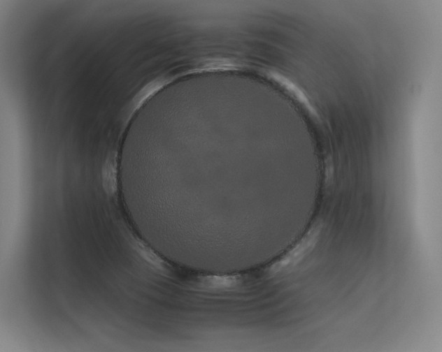 X0000113241409200909101359