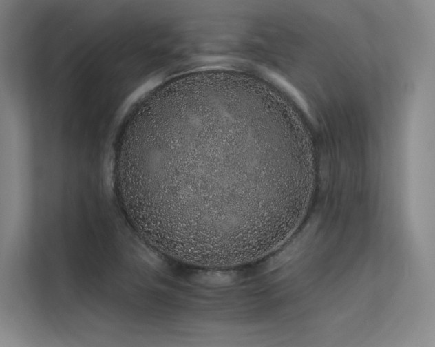 X0000113241411200909101359